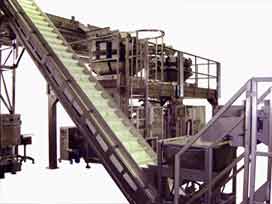 Stiavelli loading hopper connected to elevator and overhead conveyor feeding two multihead combination weighers and bagging machines